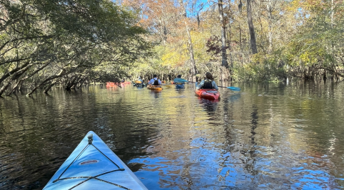 people kayaking on a tree-lined waterway